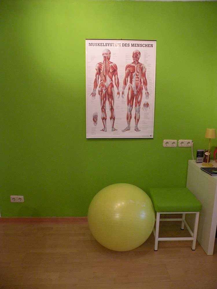 physio fuchs 3 1